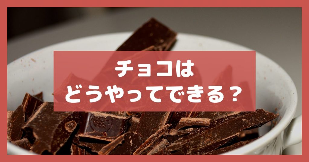 チョコはどうやってできる？